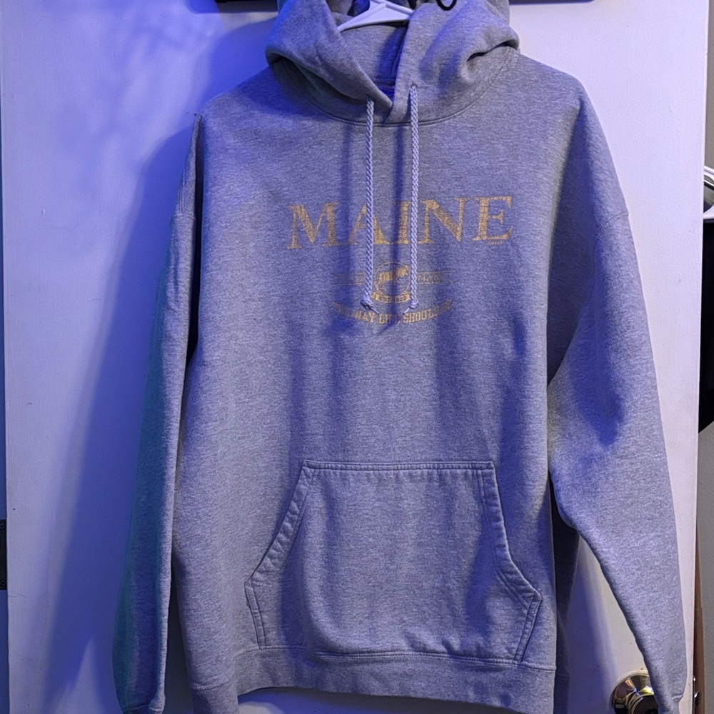 Hanes Gray Maine Hoodie for Men